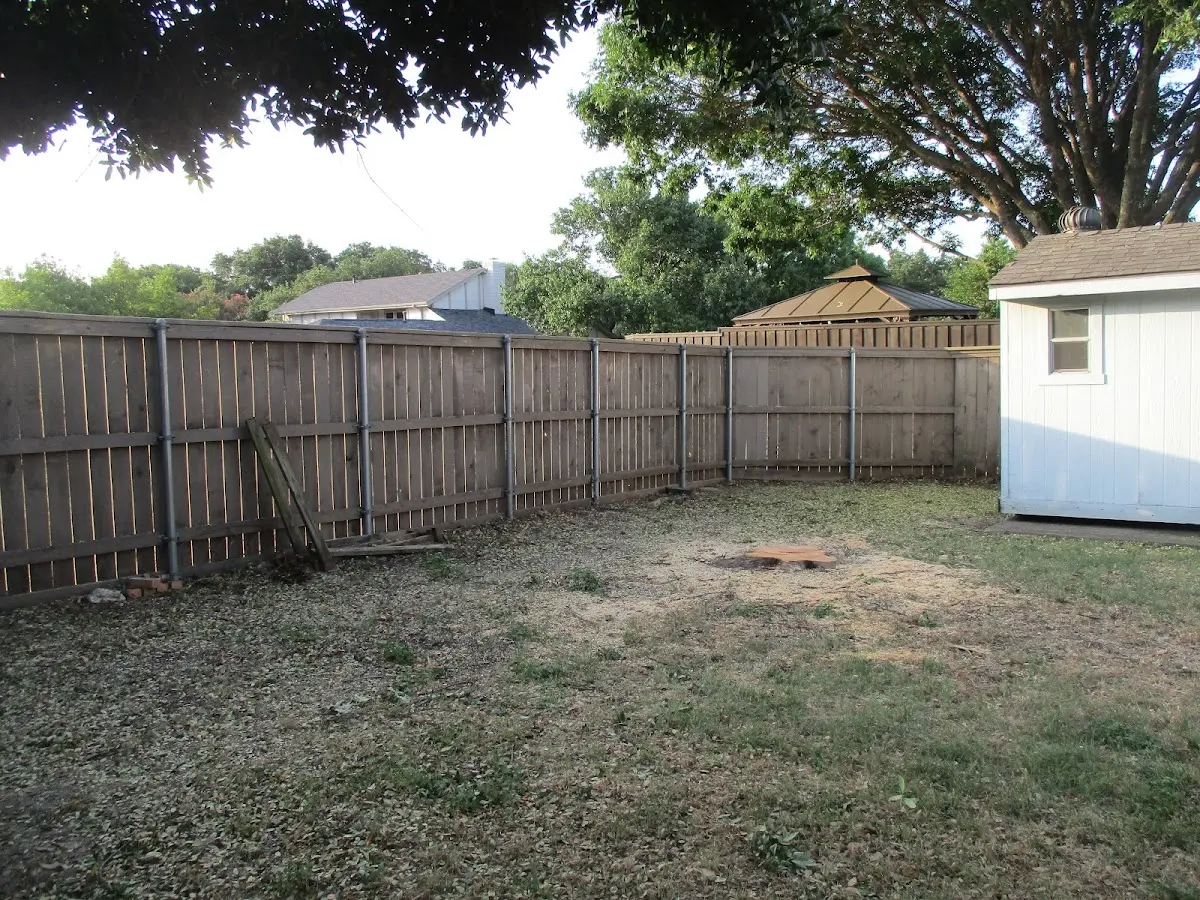 Cleared yard after professional tree removal in Crewe
