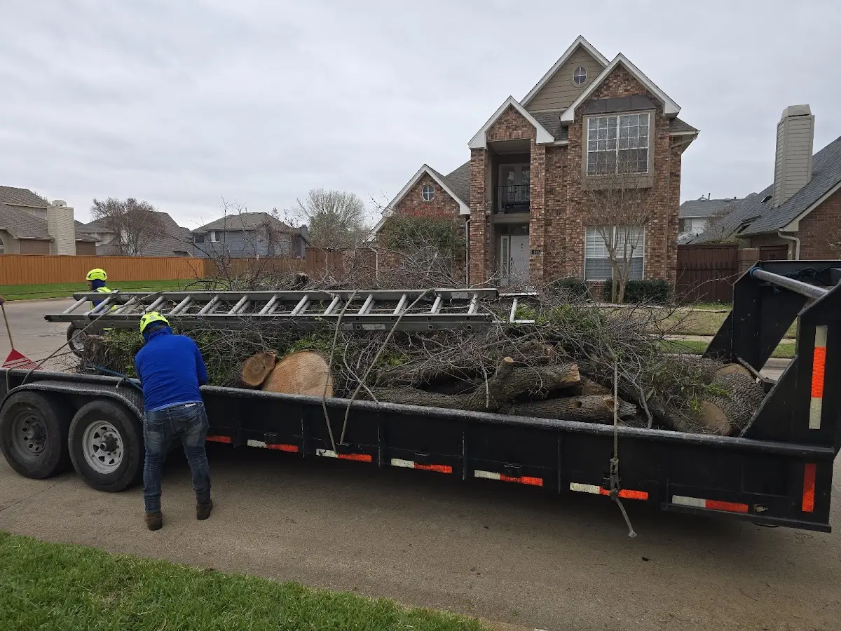 Expert Tree Pest Control with proper safety equipment in Crewe